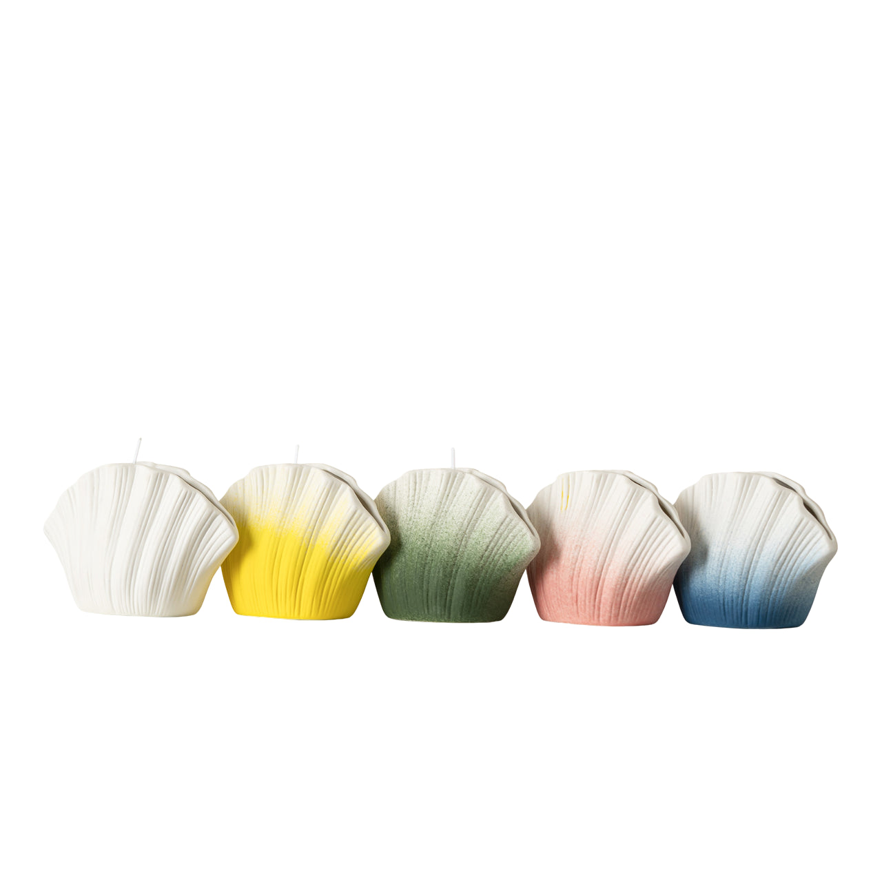 Changhong Shell Ceramic Vase