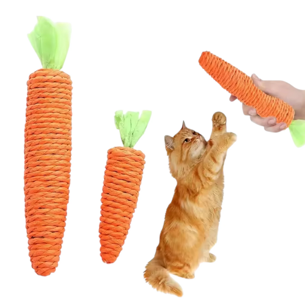 Carrot Cat Toy with Bell | Interactive Kitten Chew & Play Stick