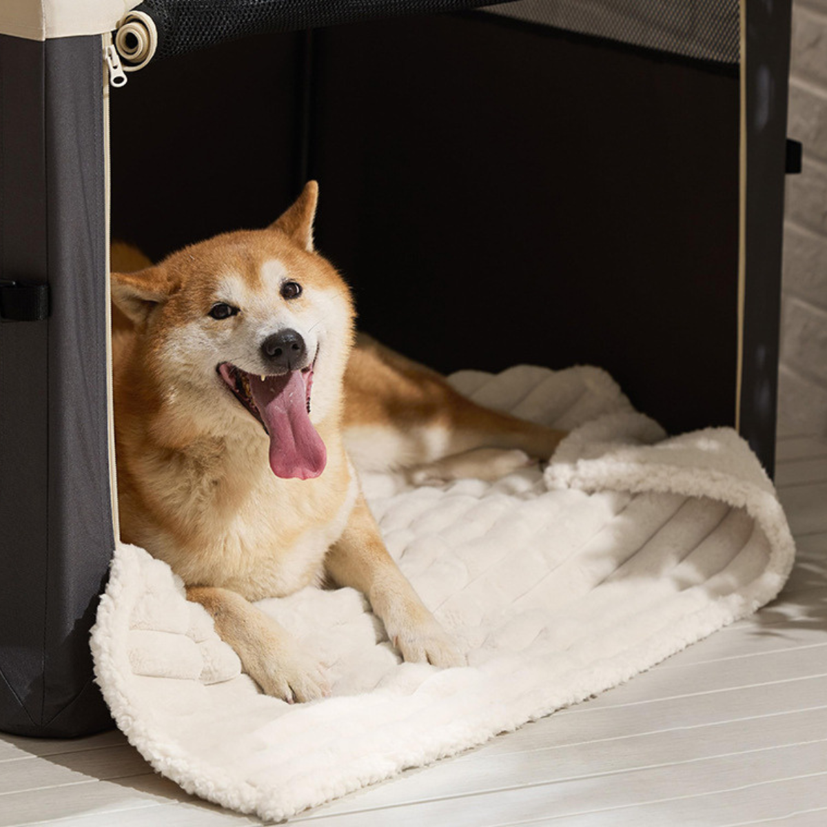 Waterproof Pet Blanket - Reversible Furniture Protector