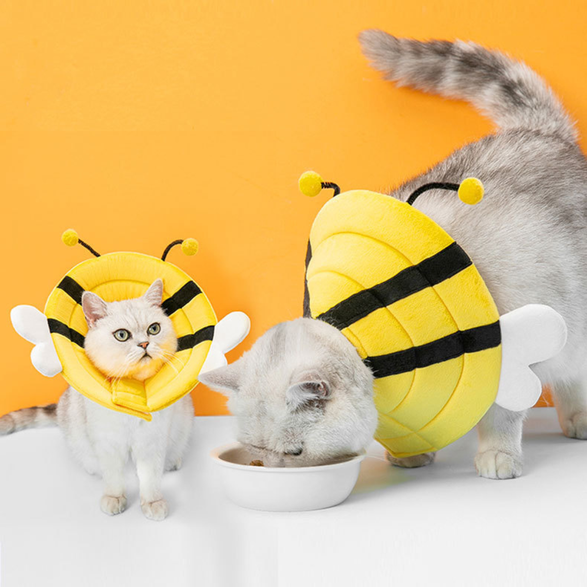 Bee Recovery Cone for Pets