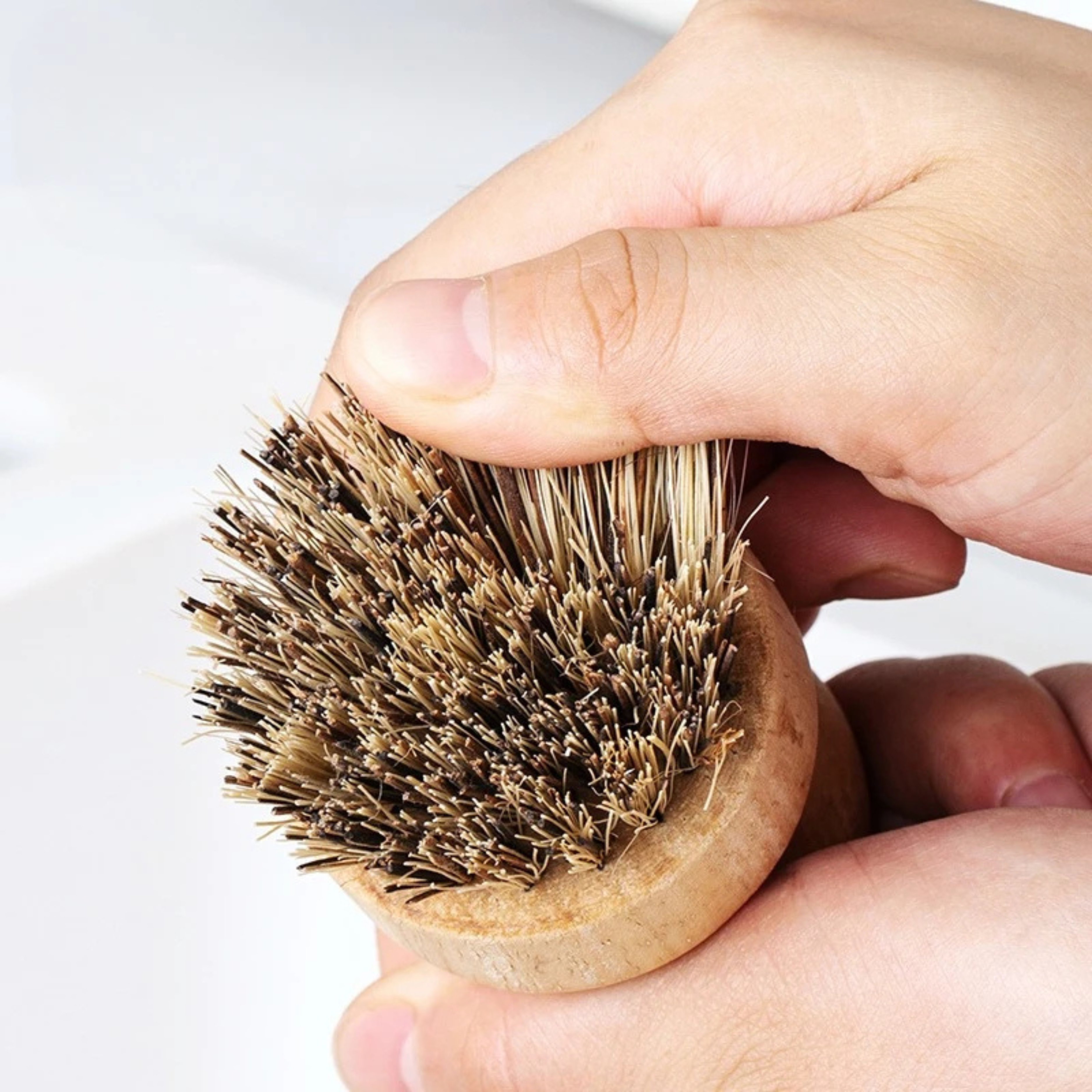 Kitchen Cleaning Brush Set of 2 Wooden Dish Brushes