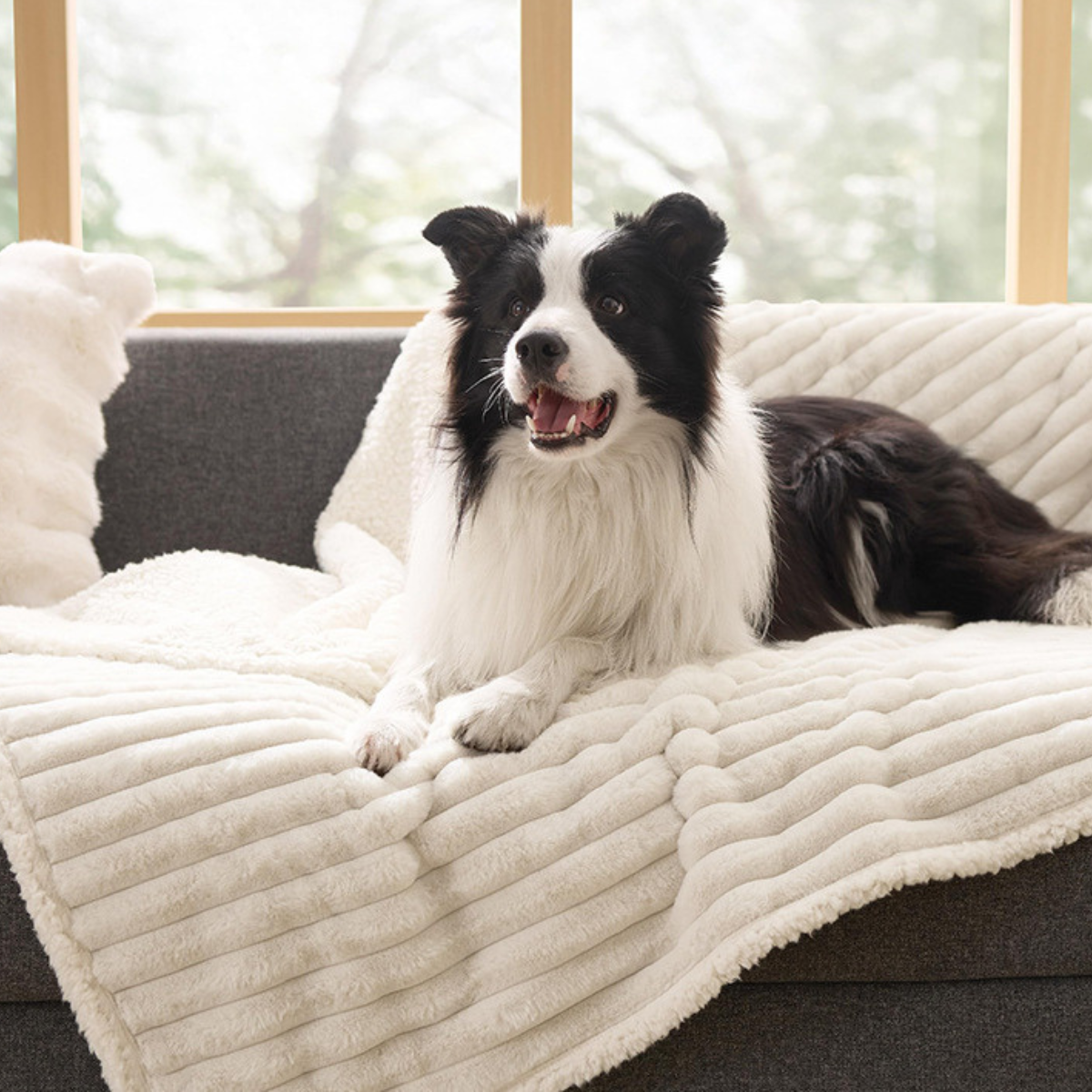 Waterproof Pet Blanket - Reversible Furniture Protector