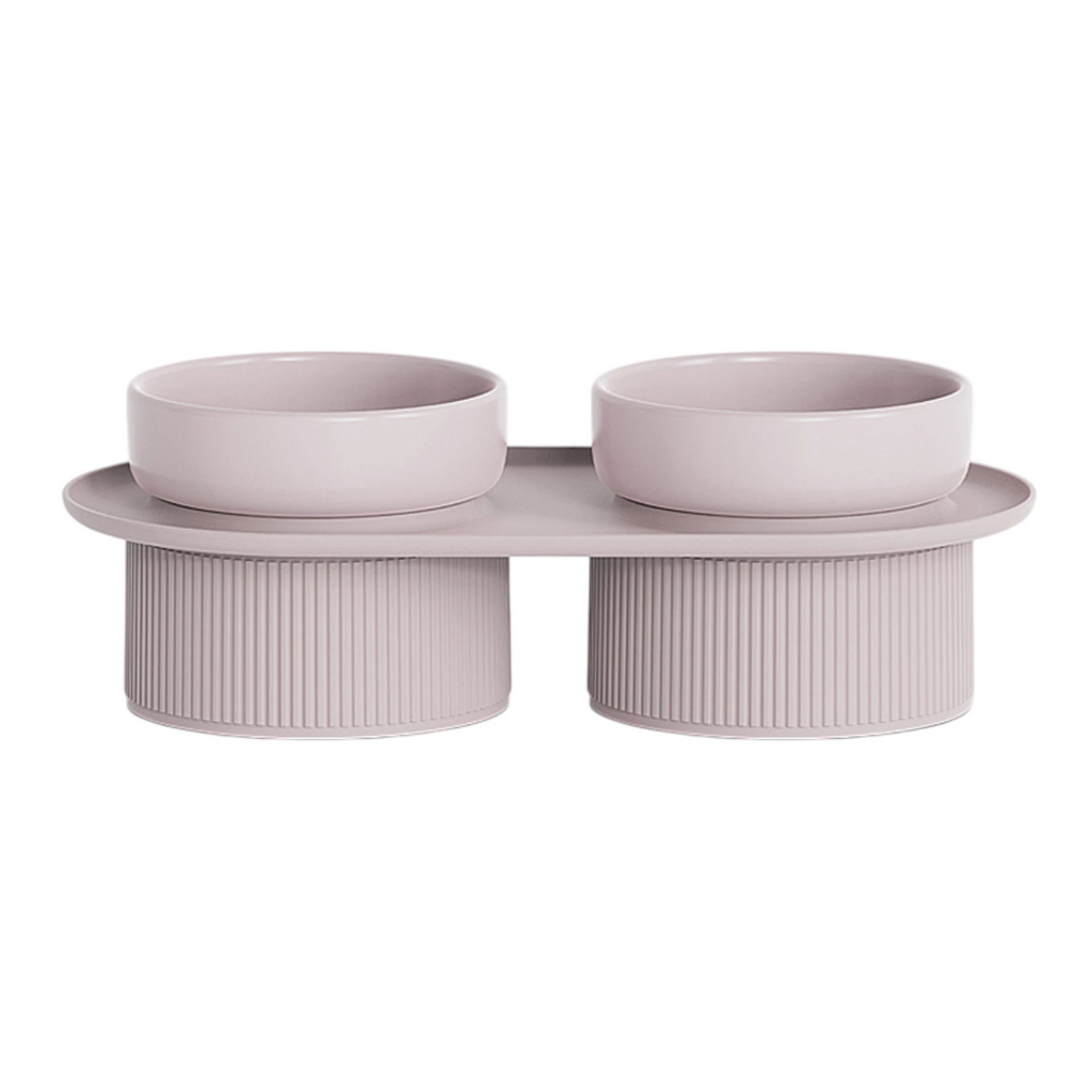 Double Elevated Ceramic Cat Bowl With Non-Slip Stand