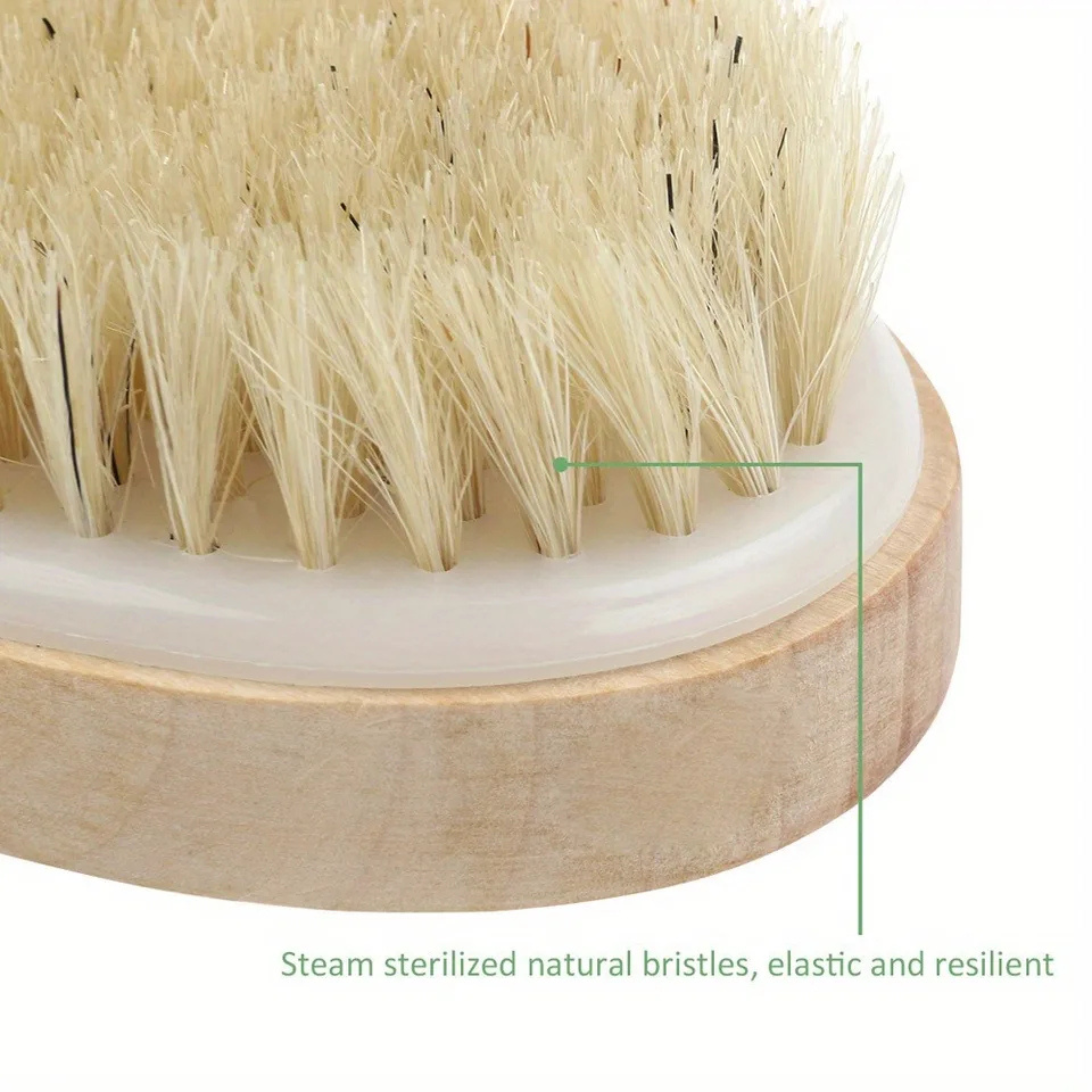 Organic Body Brush for Dry and Wet Brushing