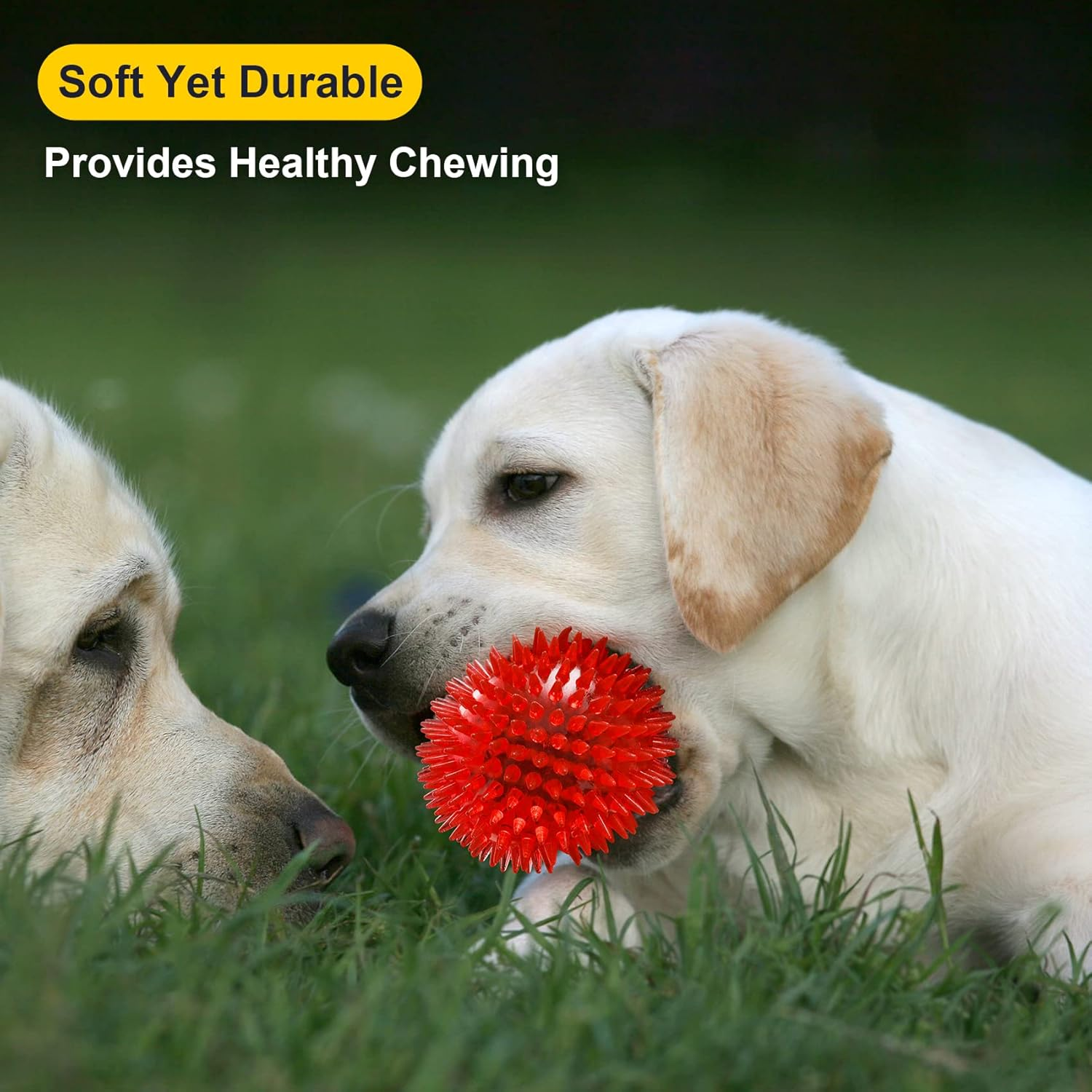 Squeaky Dog Toy Balls Set of 6