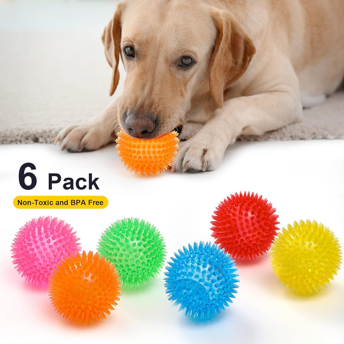 Squeaky Dog Toy Balls Set of 6
