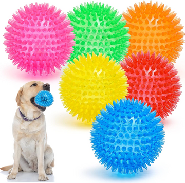 Squeaky Dog Toy Balls Set of 6