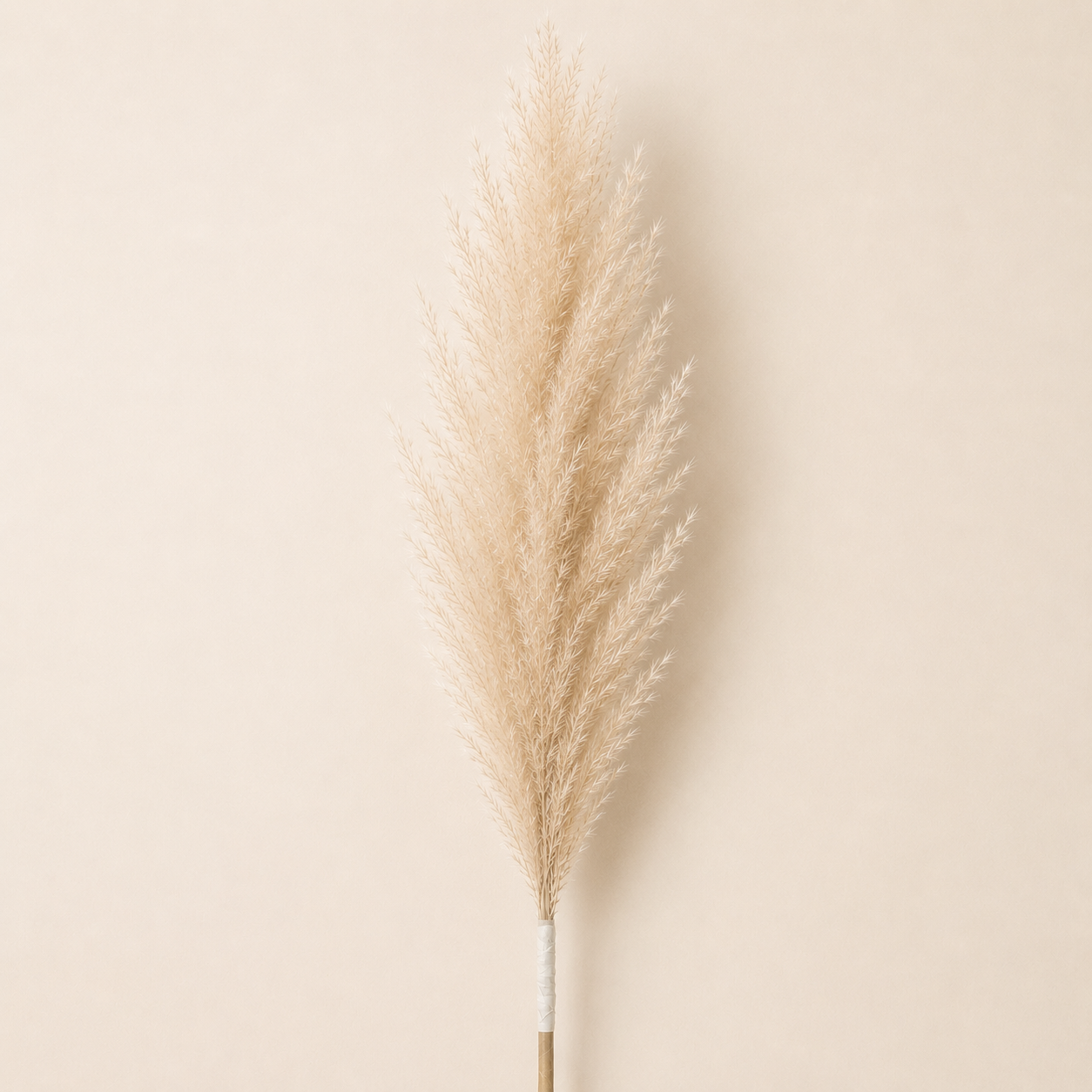 Pampas Grass Bouquet – Dried Boho Floor Vase Decor