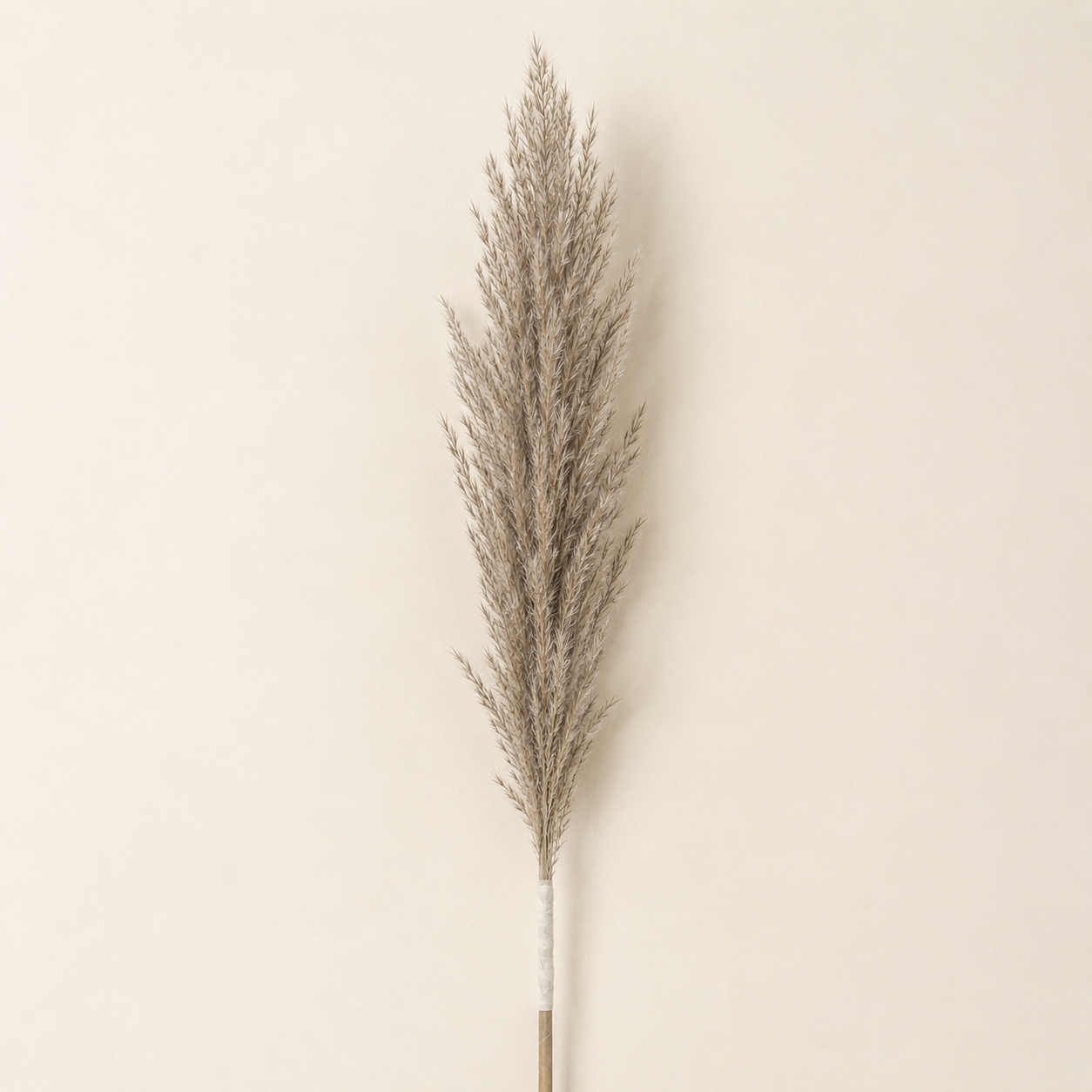 Pampas Grass Bouquet – Dried Boho Floor Vase Decor