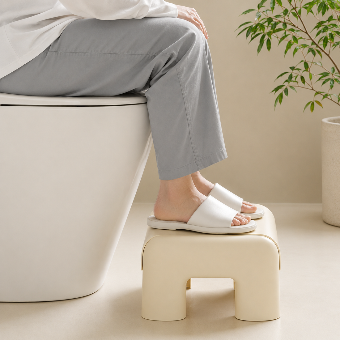 Toilet Stool Squatting Aid