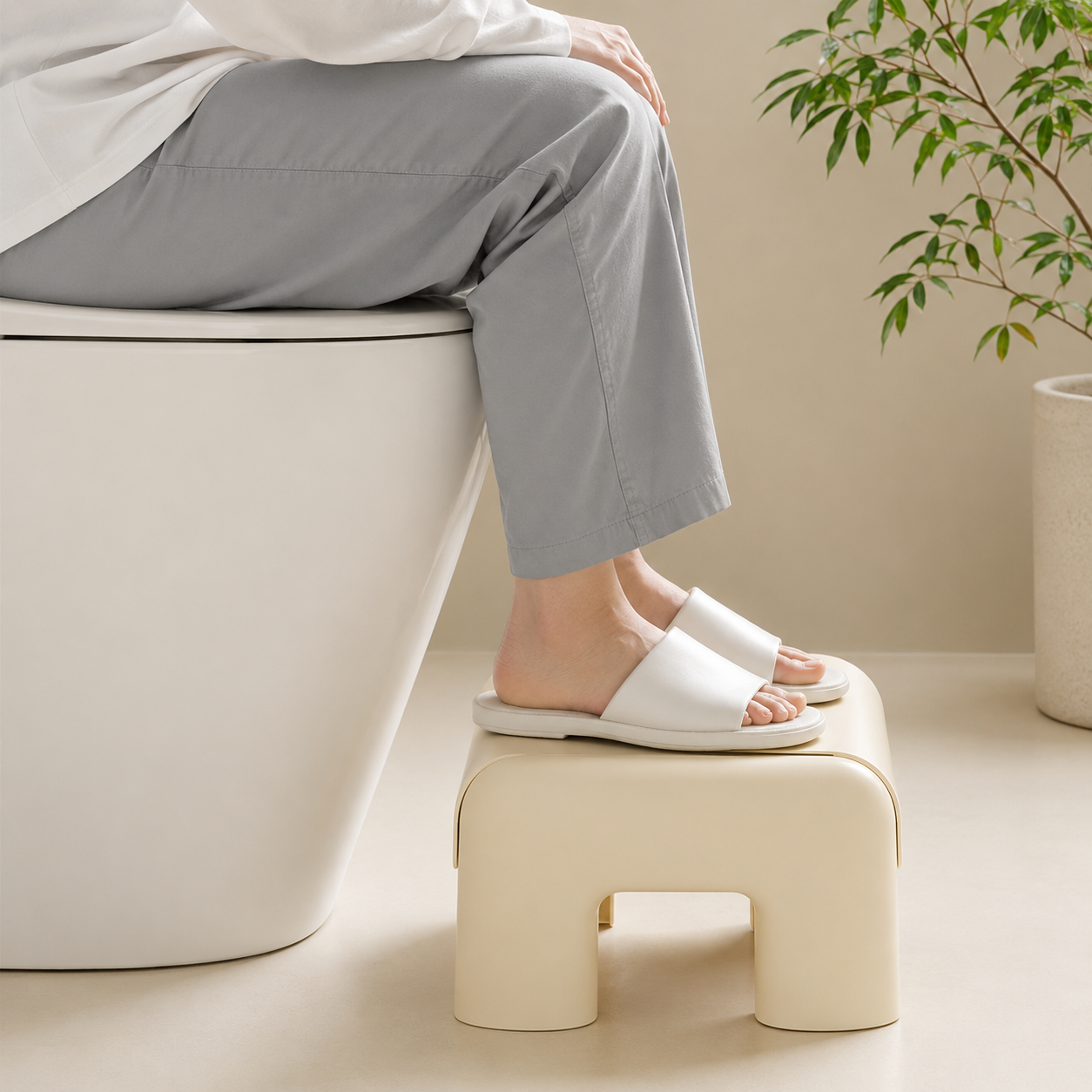 Toilet Stool Squatting Aid