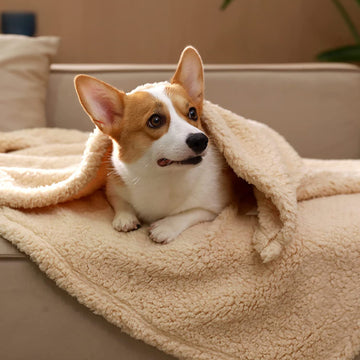 Calming Sherpa Pet Blanket Set of 3