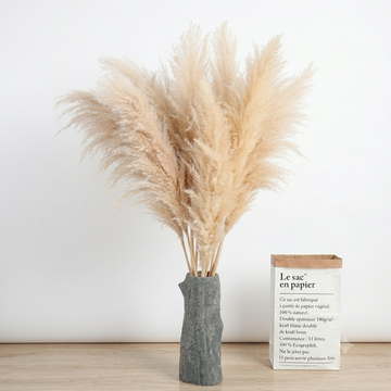 Pampas Grass Bouquet – Dried Boho Floor Vase Decor