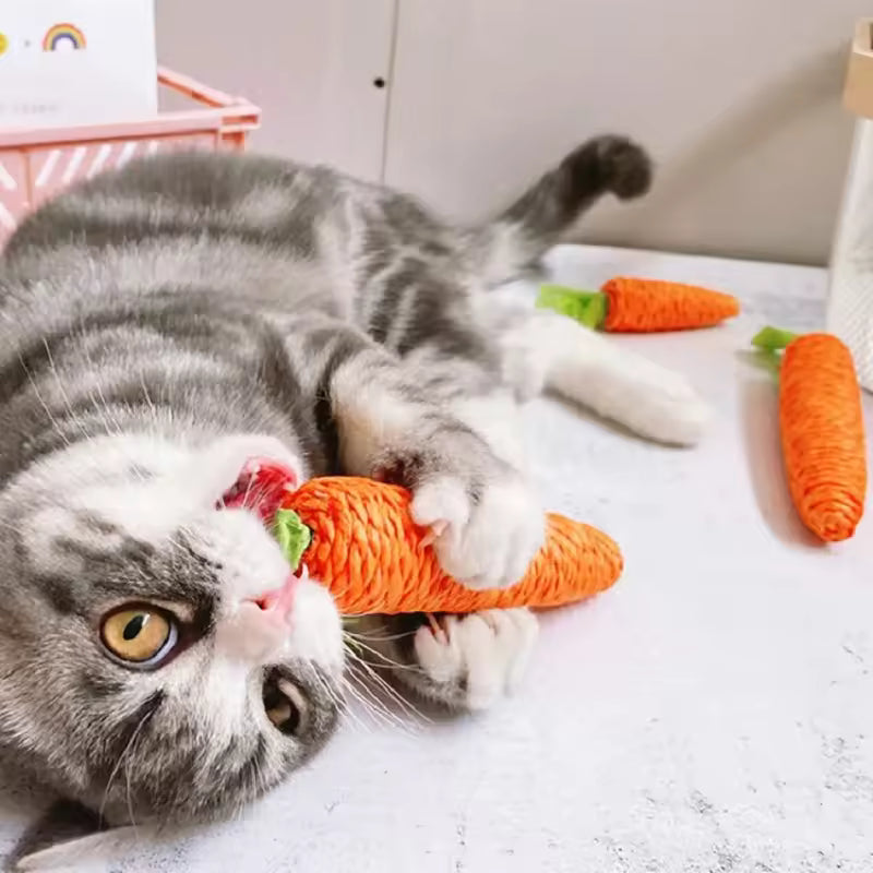 Carrot Cat Toy with Bell | Interactive Kitten Chew & Play Stick