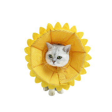 Sunflower Recovery Cone for Pets