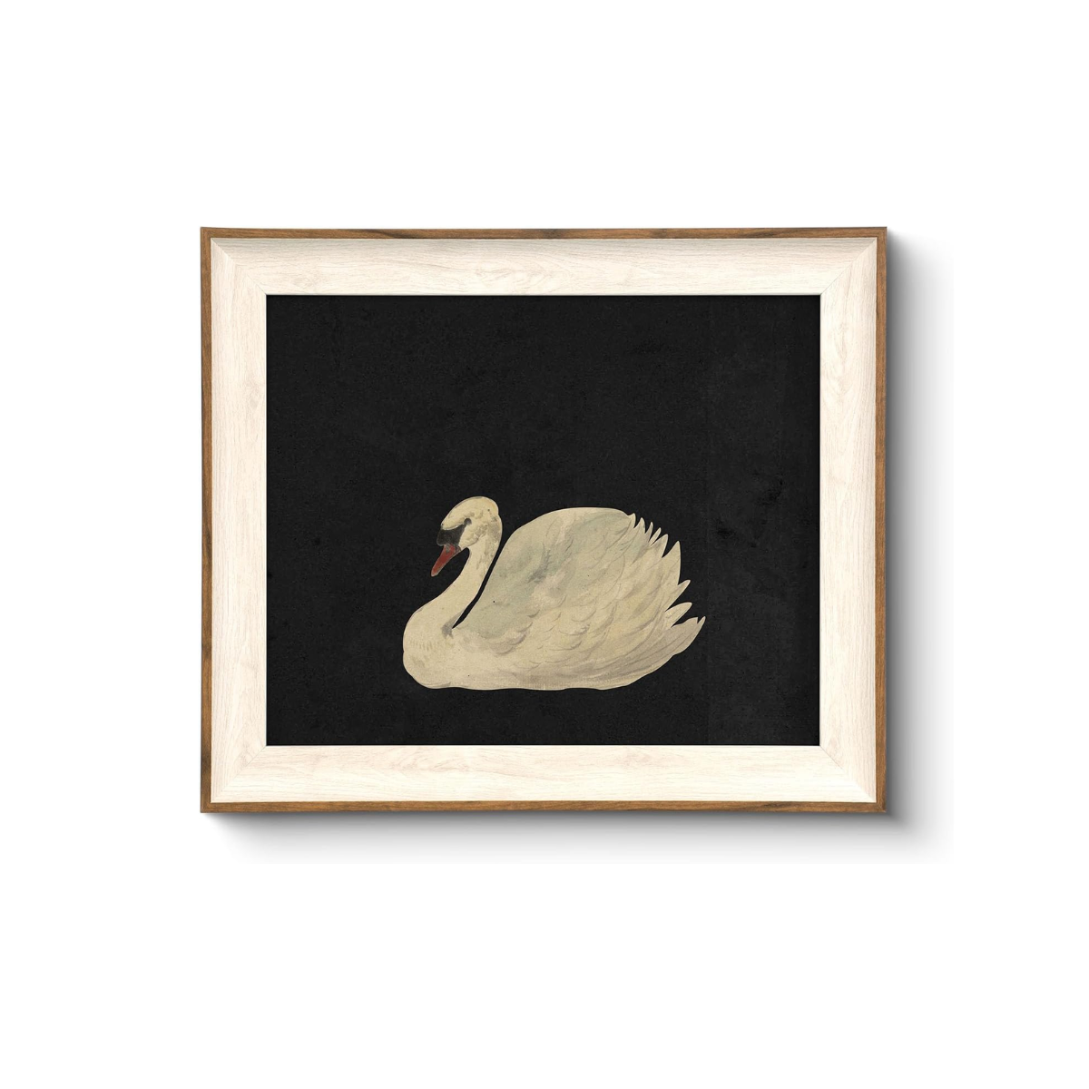 Vintage Swan Framed Wall Art - Canvas Print