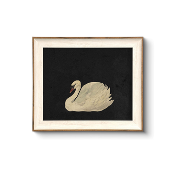 Vintage Swan Framed Wall Art - Canvas Print