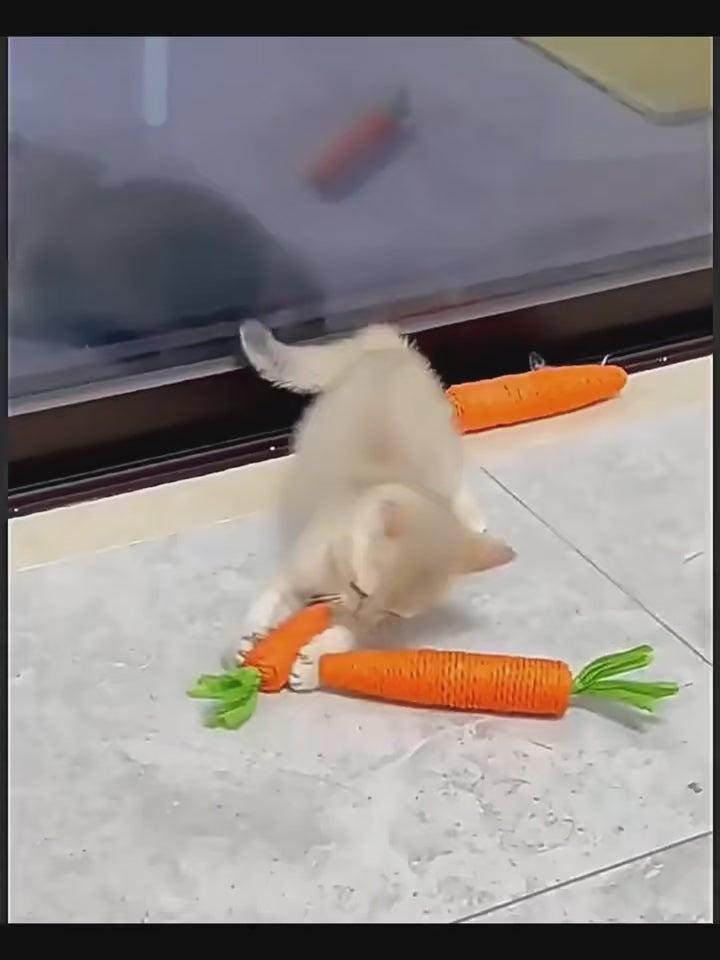 Carrot Cat Toy with Bell | Interactive Kitten Chew & Play Stick