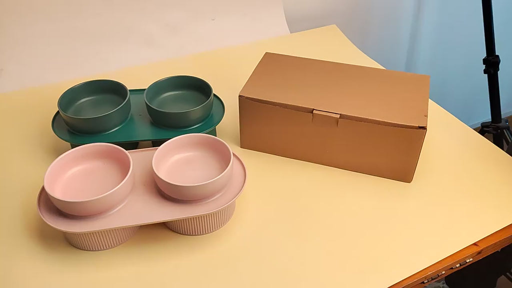 Double Elevated Ceramic Cat Bowl With Non-Slip Stand