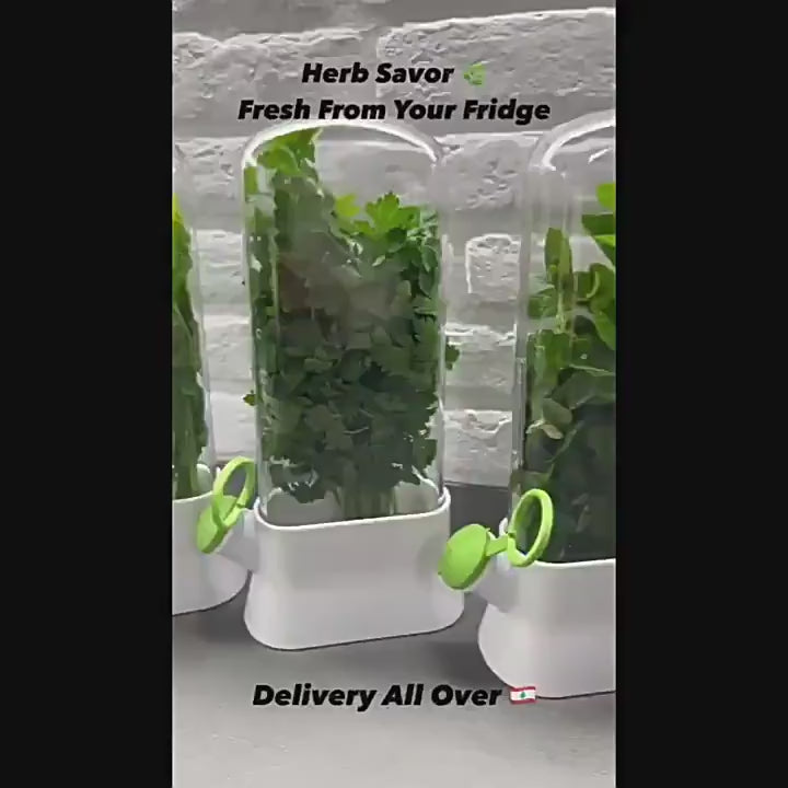 Herb Fresh Storage Pod | Long-Lasting Herb Preservation Container
